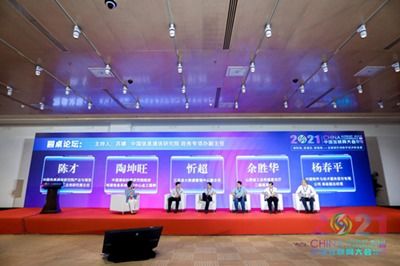 2021中國互聯網大會 數字政府論壇在京舉辦