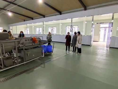 生命科學系參加2023山西省設施蔬菜機械化生產(chǎn)現(xiàn)場觀摩會